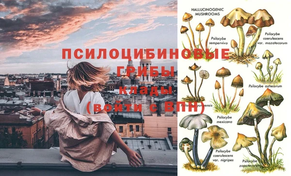 экстази Алзамай