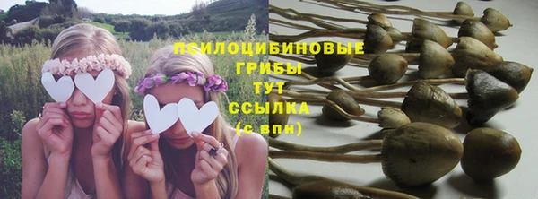 гашик Алексеевка