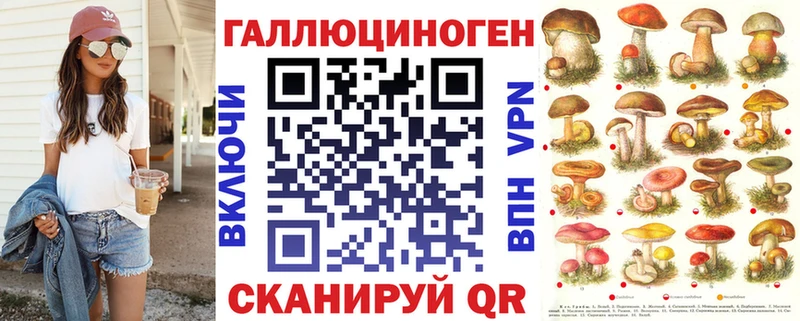 площадка телеграм  Порхов  Псилоцибиновые грибы Psilocybine cubensis 