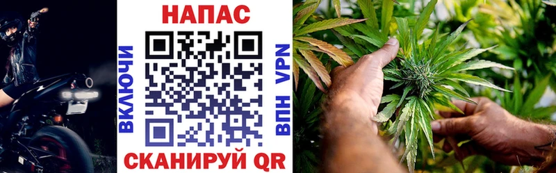 Канабис MAZAR  Порхов 